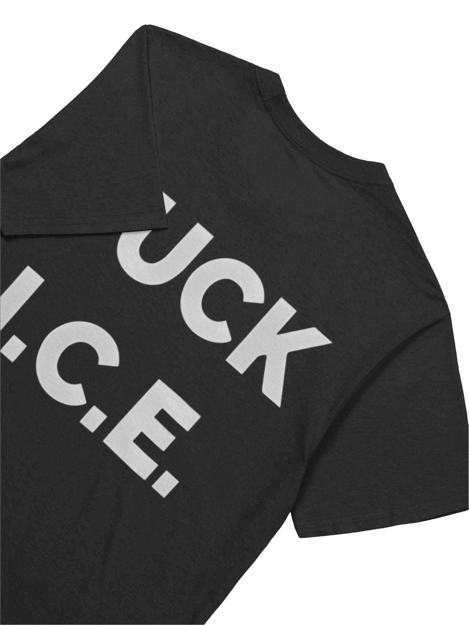 Stolen Land, No Human Illegal Shirt – Radical Truth Anti-ICE product image (8)