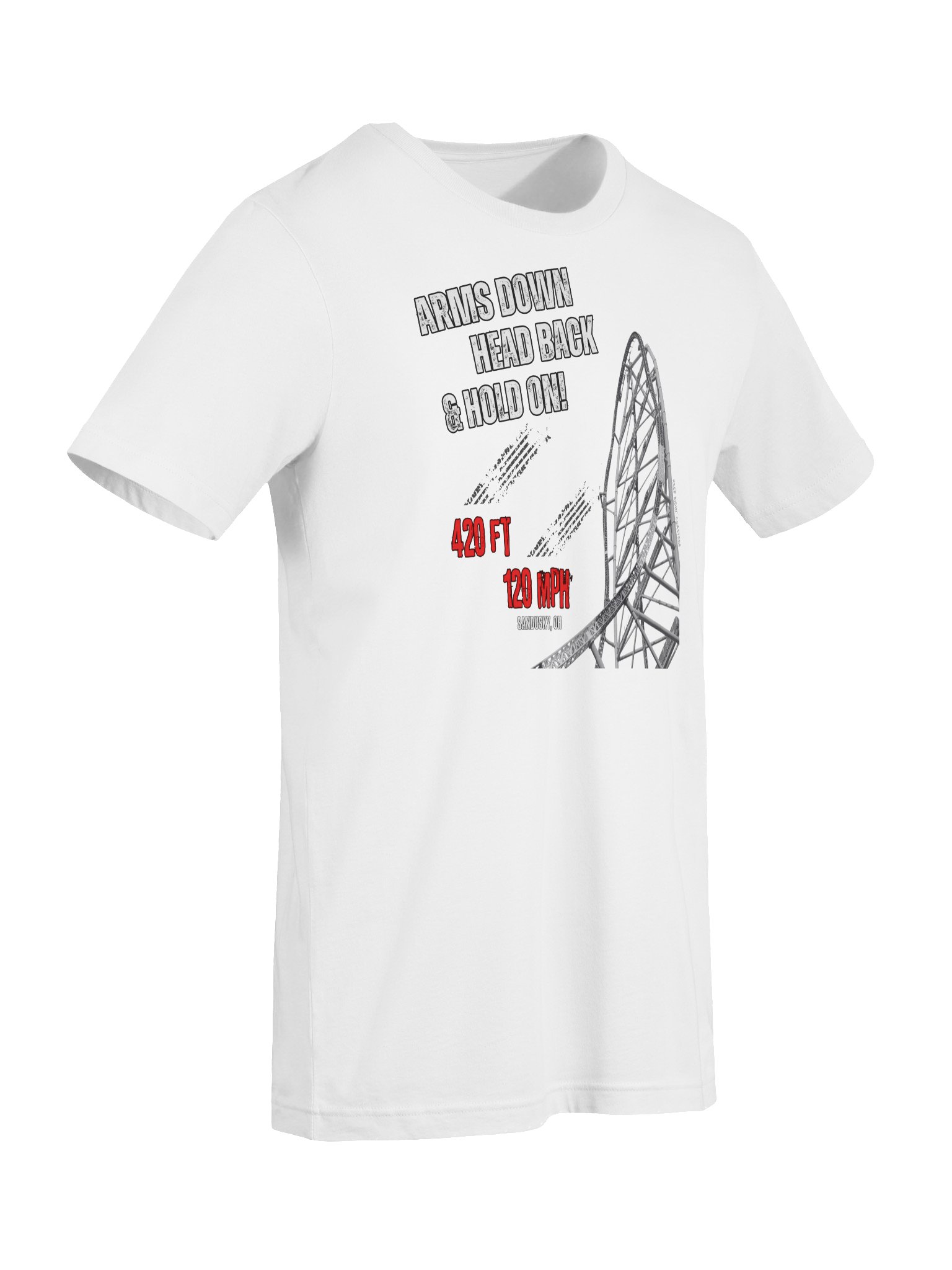 Arms Down, Head Back & Hold On - 420/120 Tee product image (42)