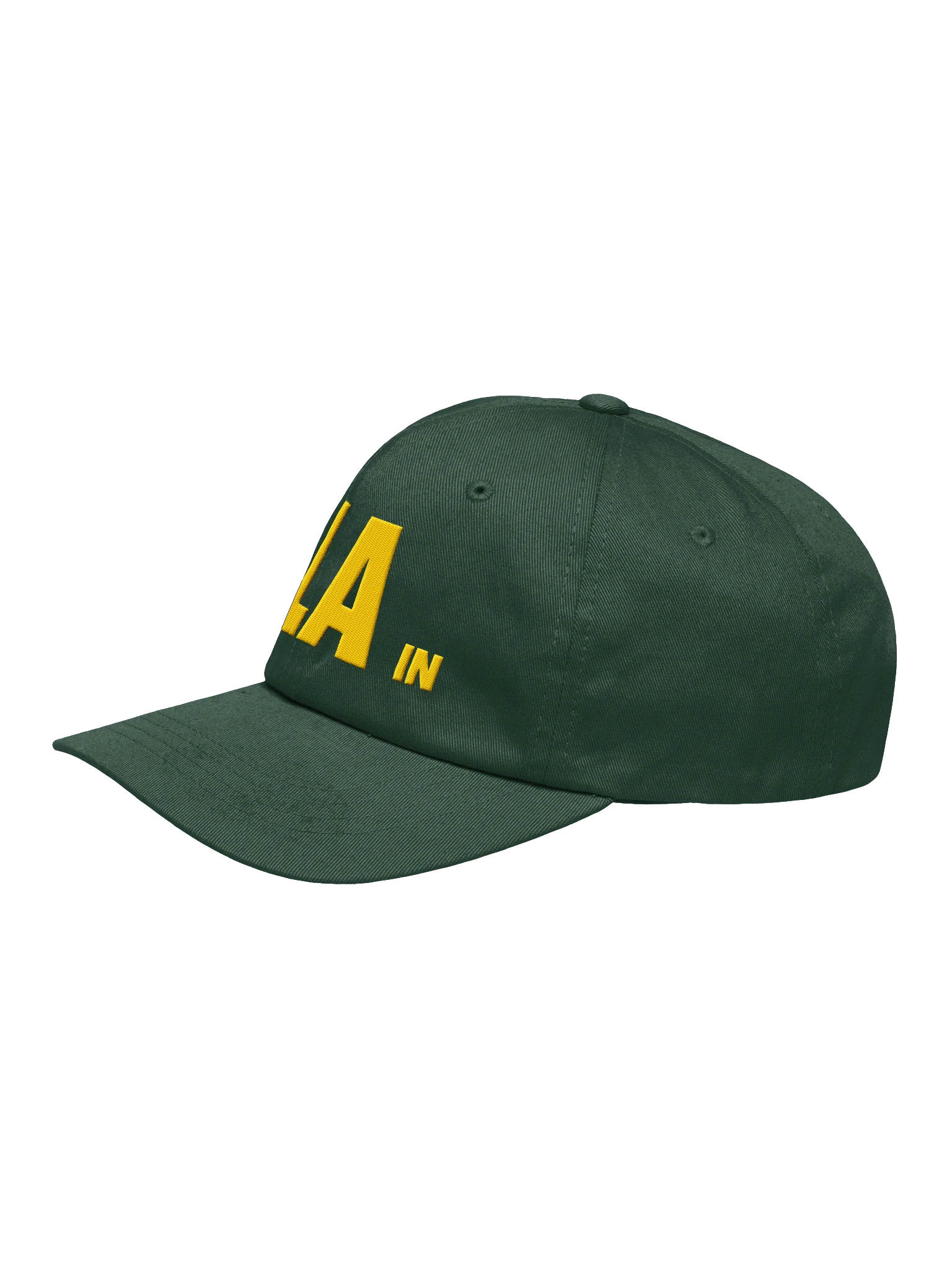 Life in LA Hat - Spruce Green product image (3)