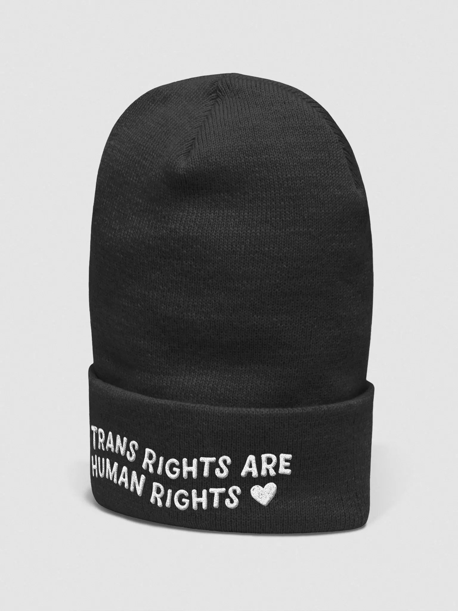 Trans Rights beanie product image (2)