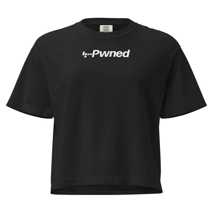 Just Another Pwned Tee product image (1)