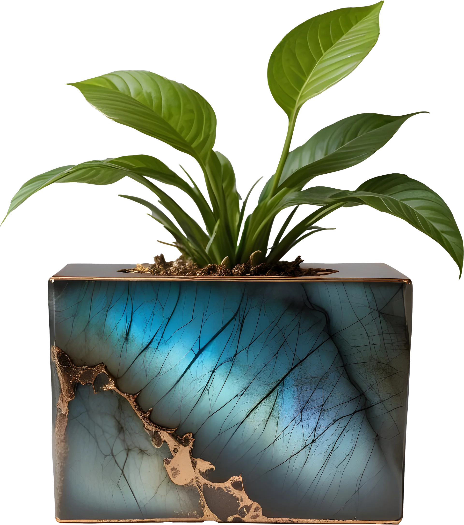 Stellar Luxe – Vase Labradorite with Bronze/Gold Finish product image (1)