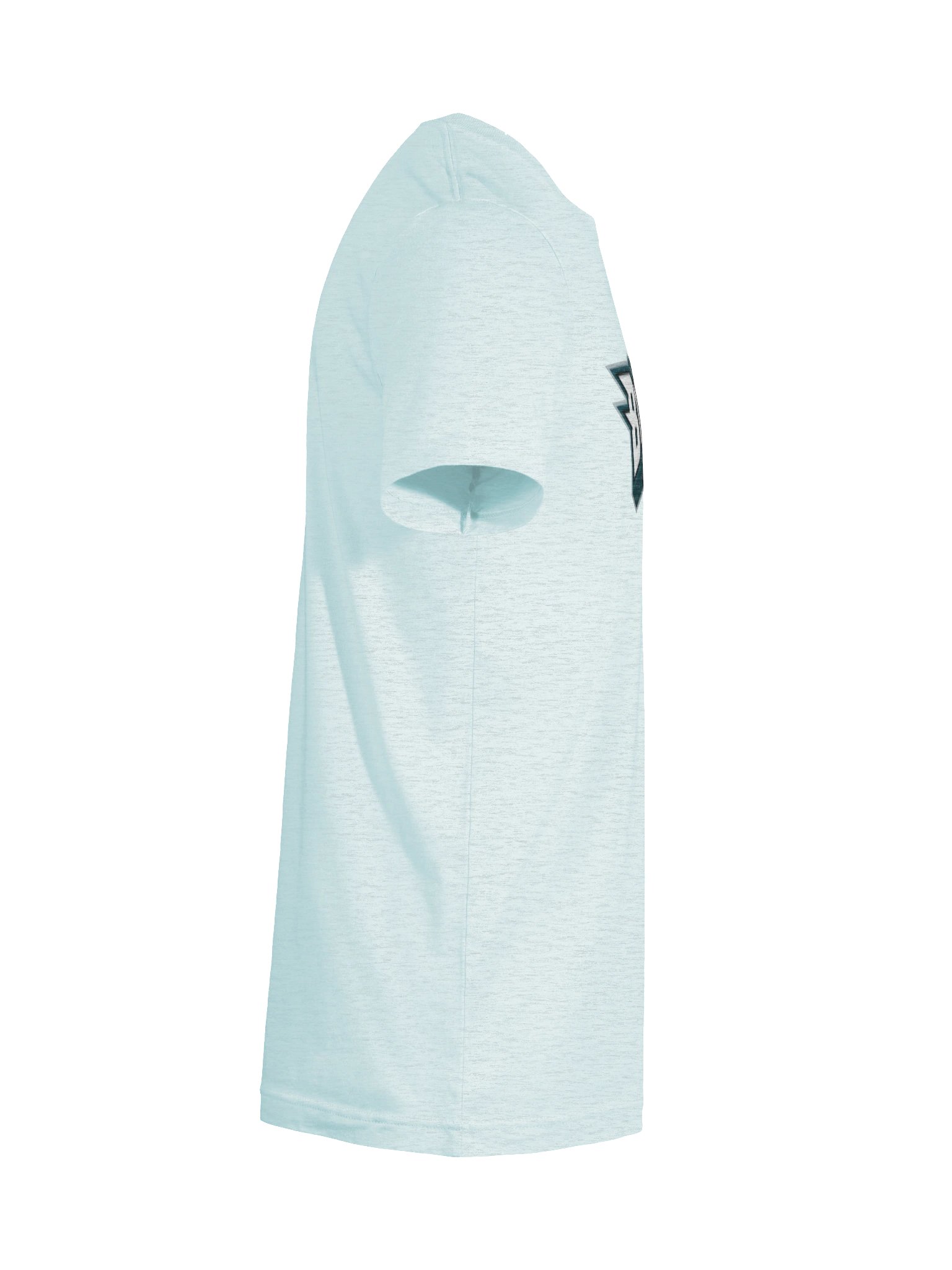 Go Birds tee product image (11)