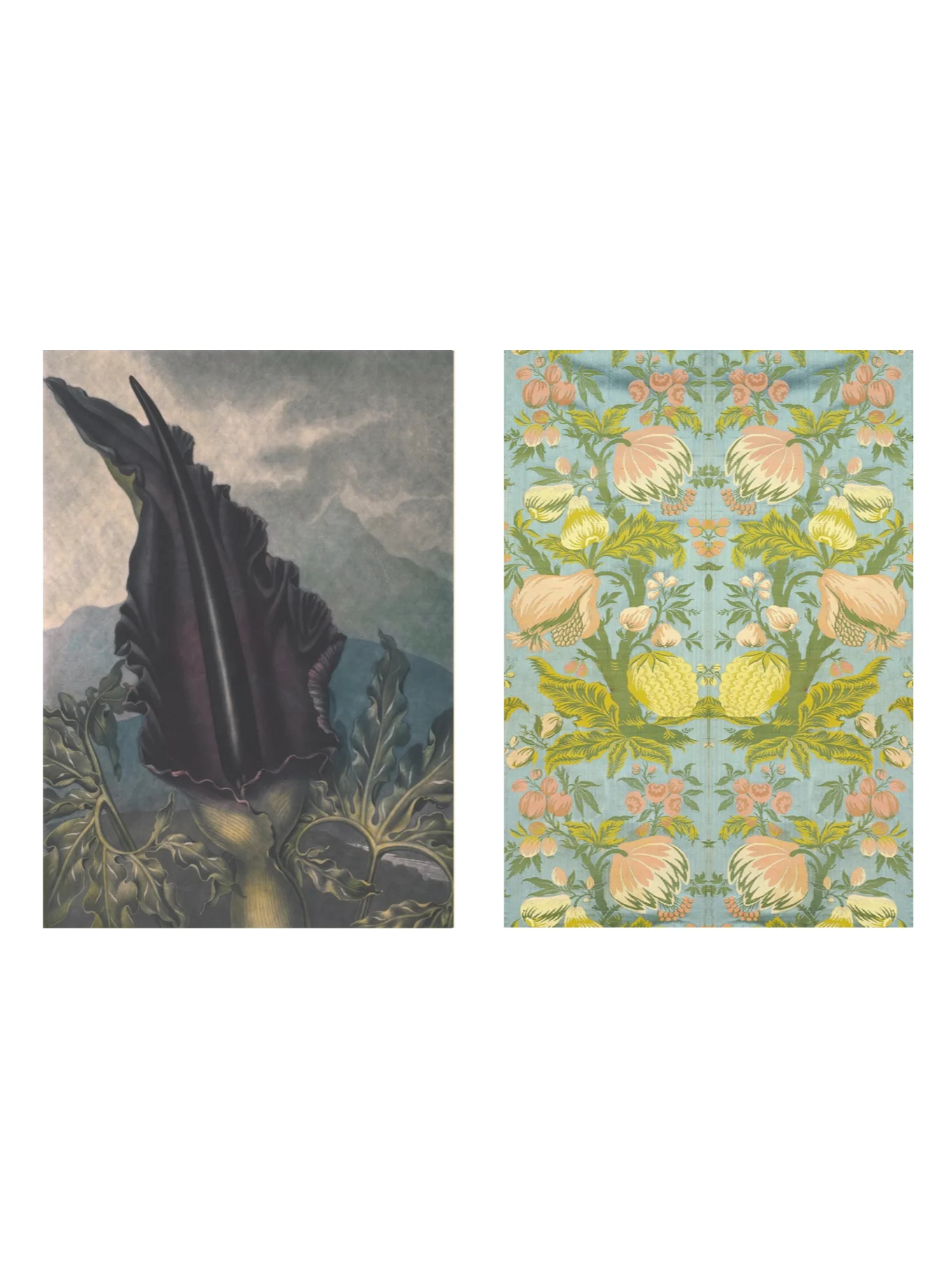 Dragon Arum and mirrored pattern product image (3)