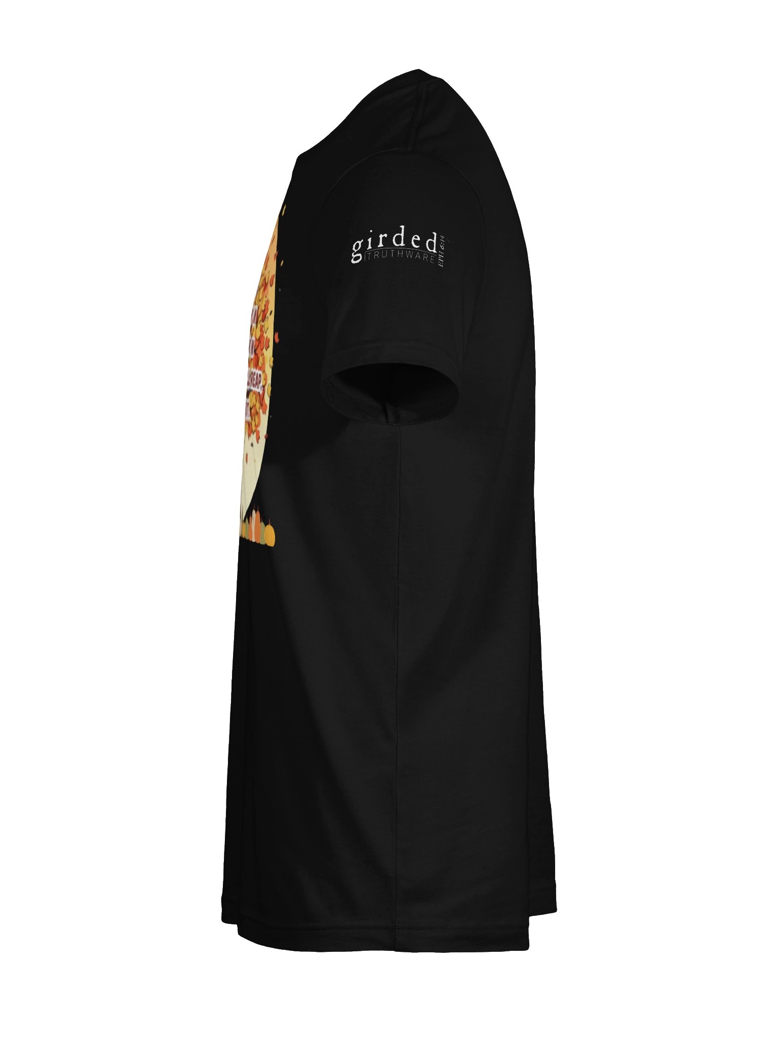 In Due Season Galatians 6:9 Tee product image (9)