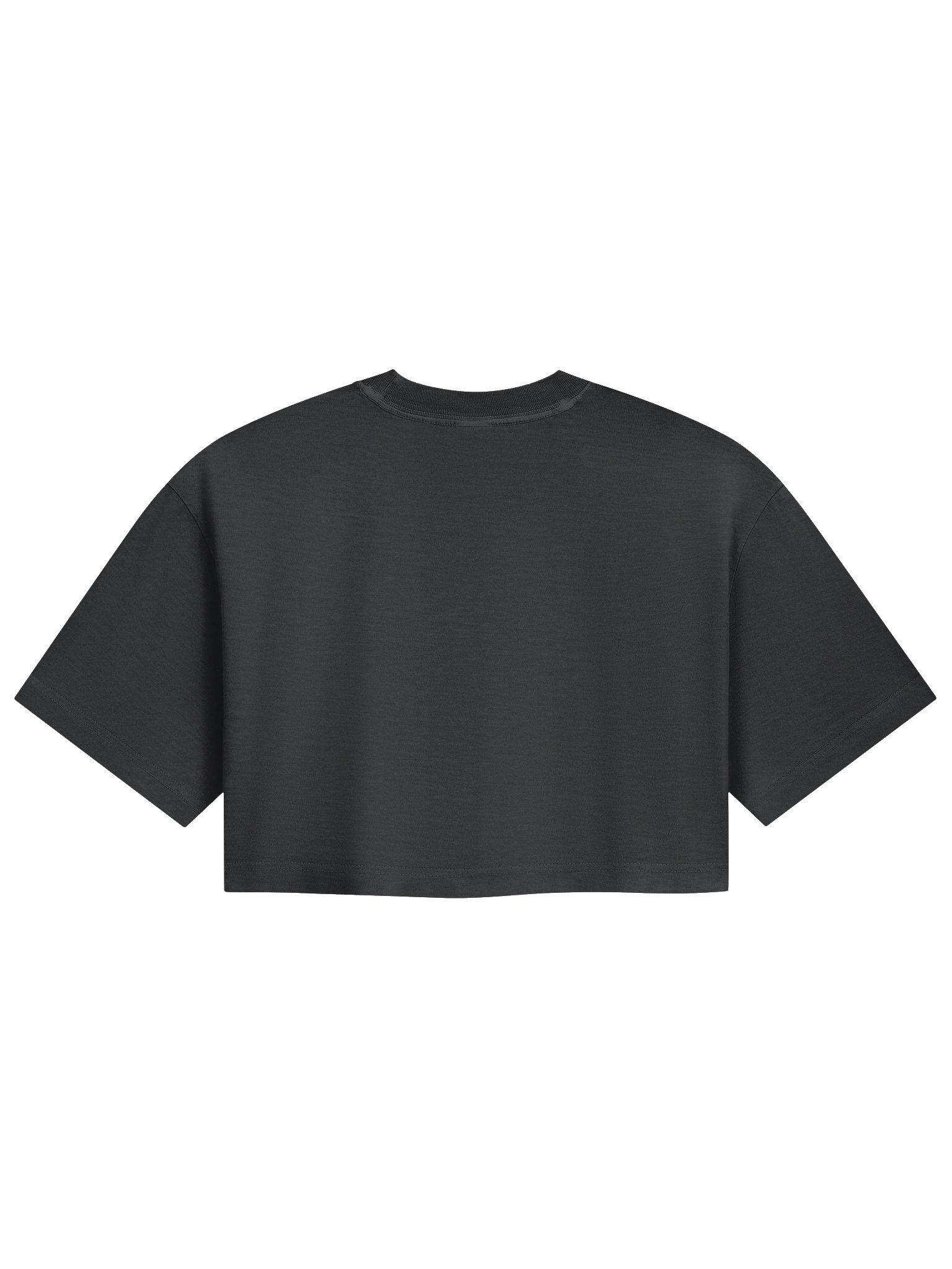Prizm Athletics Mountain Logo Cropped Tee product image (2)