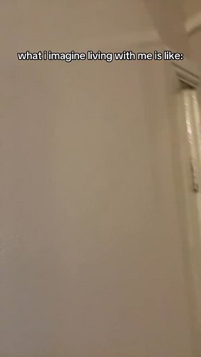 I would be the best roommate … #smallstreamer #contentcreator #hotdog