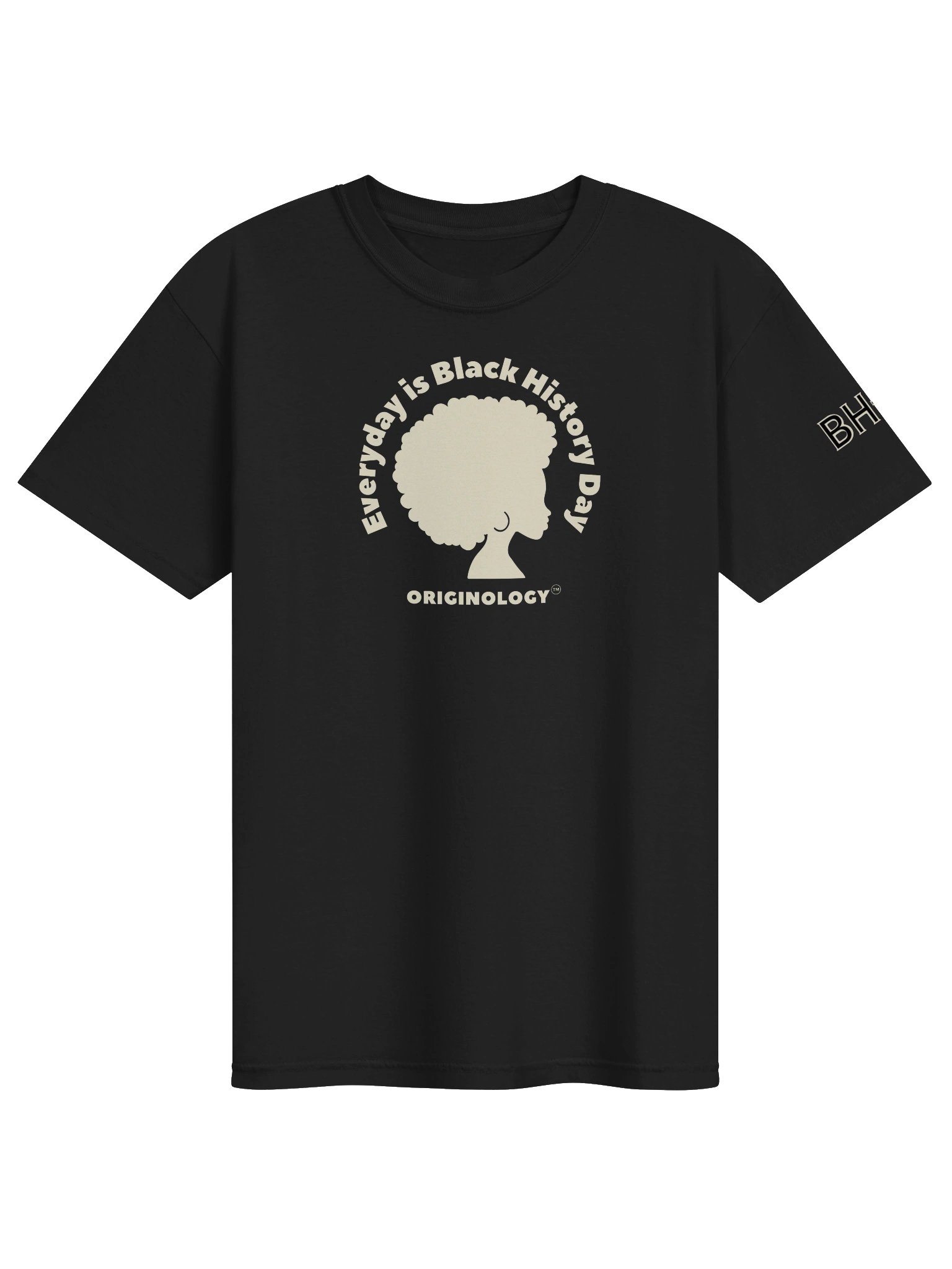 Everyday is Black History Day | Heavy T-Shirt | Originology | Black History X product image (1)