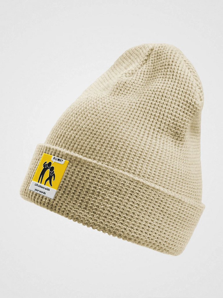 The OK Show Beenie product image (2)