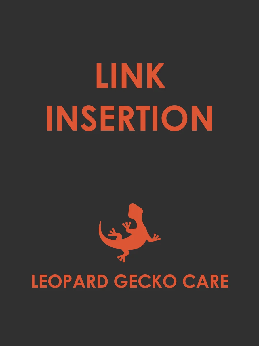 Link insertion in existing post product image (1)