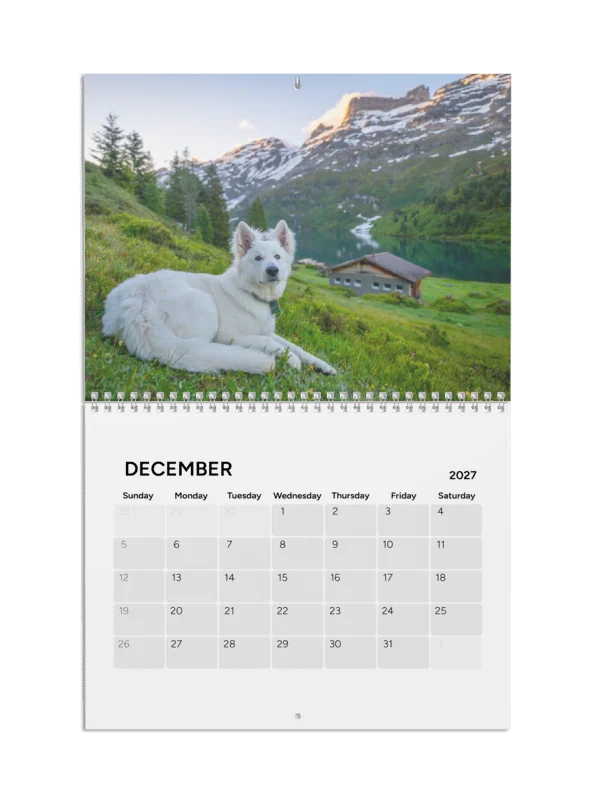 Lil Rasta Calendar 2027 product image (8)