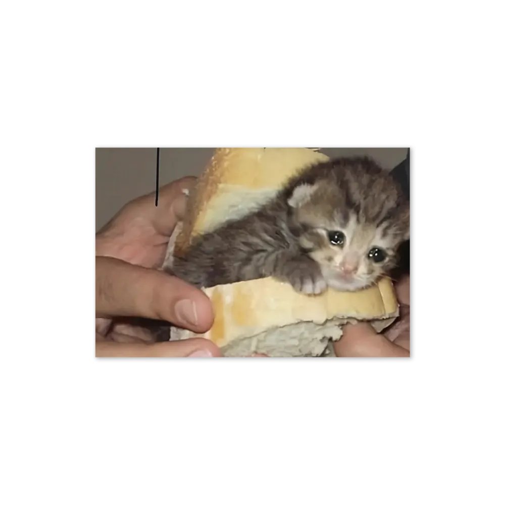 Greeting Card: Meme Cats product image (22)