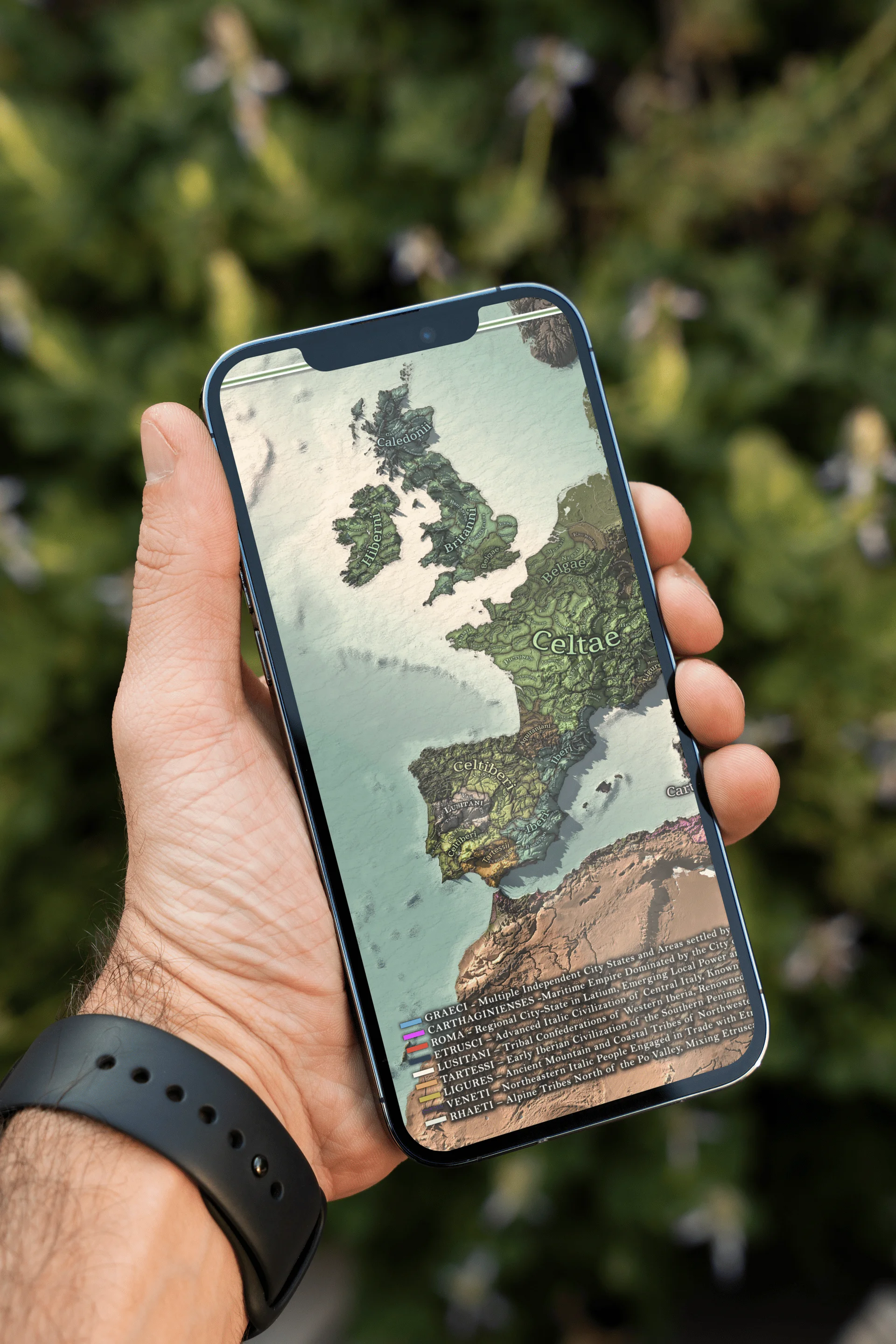 The Celts - 350 BCE - Digital Map product image (3)