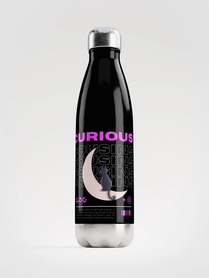 Stainless Steel Water Bottle product image (1)