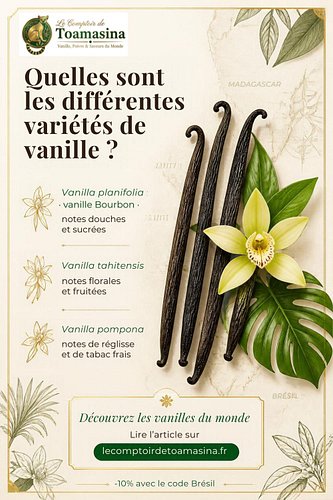 La vanille que vous utilisez en cuisine n'est pas unique : vanille Bourbon de Madagascar, vanille de Tahiti et vanille du Mex...