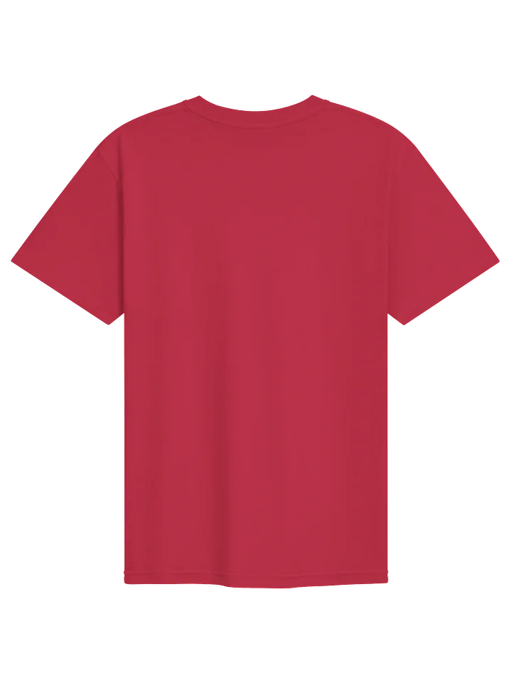 ALASO Haiti 2026 Graphic Tee product image (2)