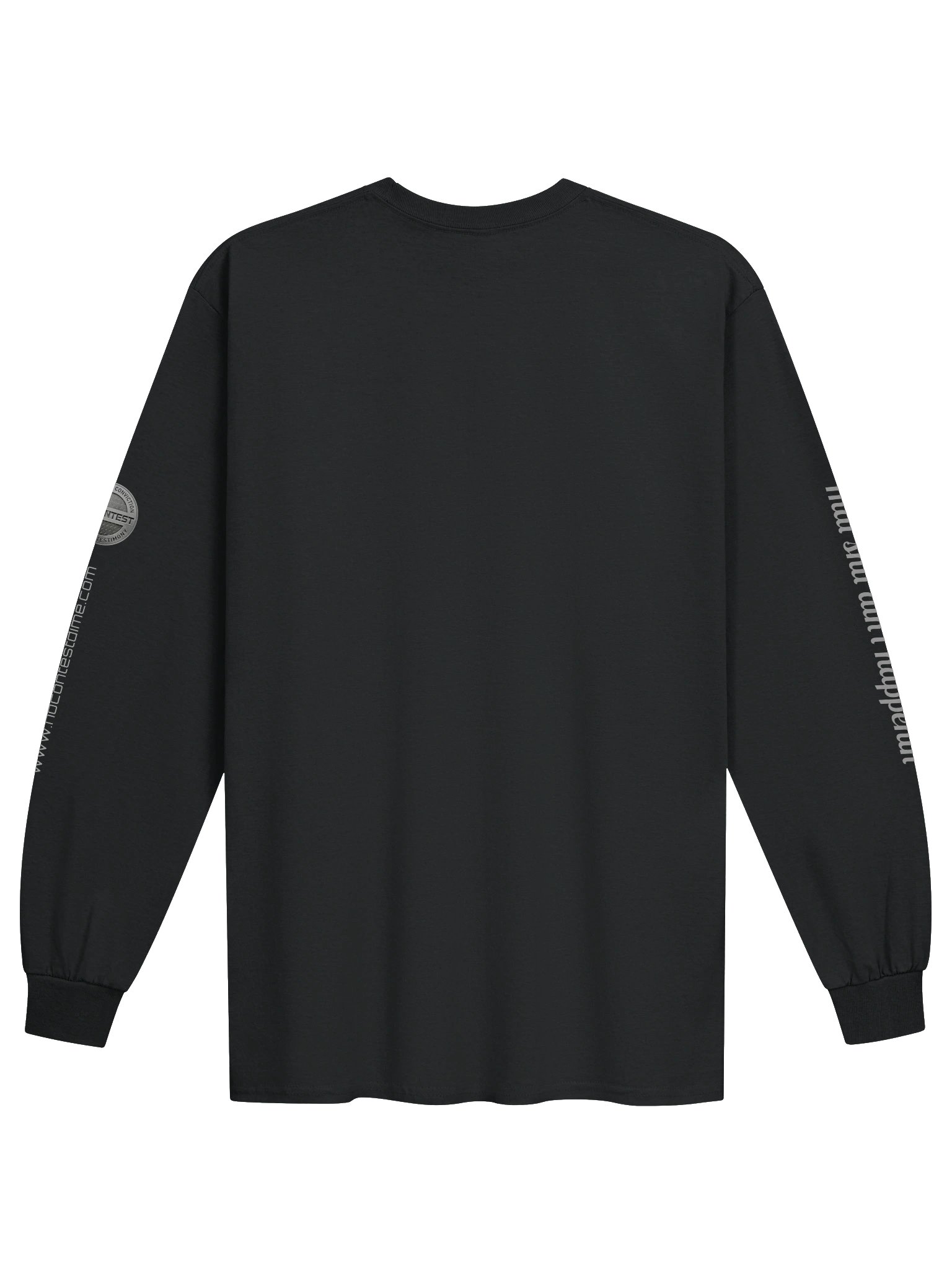 Ask Again longsleeve product image (2)