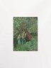 ''With goodly greenish locks, all loose untied'' by Eleanor Fortescue-Brickdale Poster