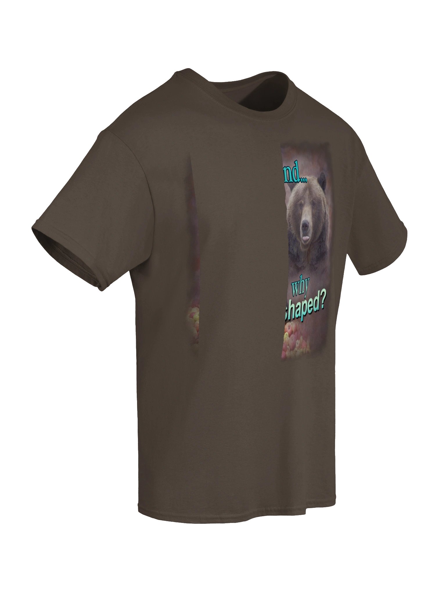 If Not Friend, Why Friend Shaped Bear T-shirt product image (38)