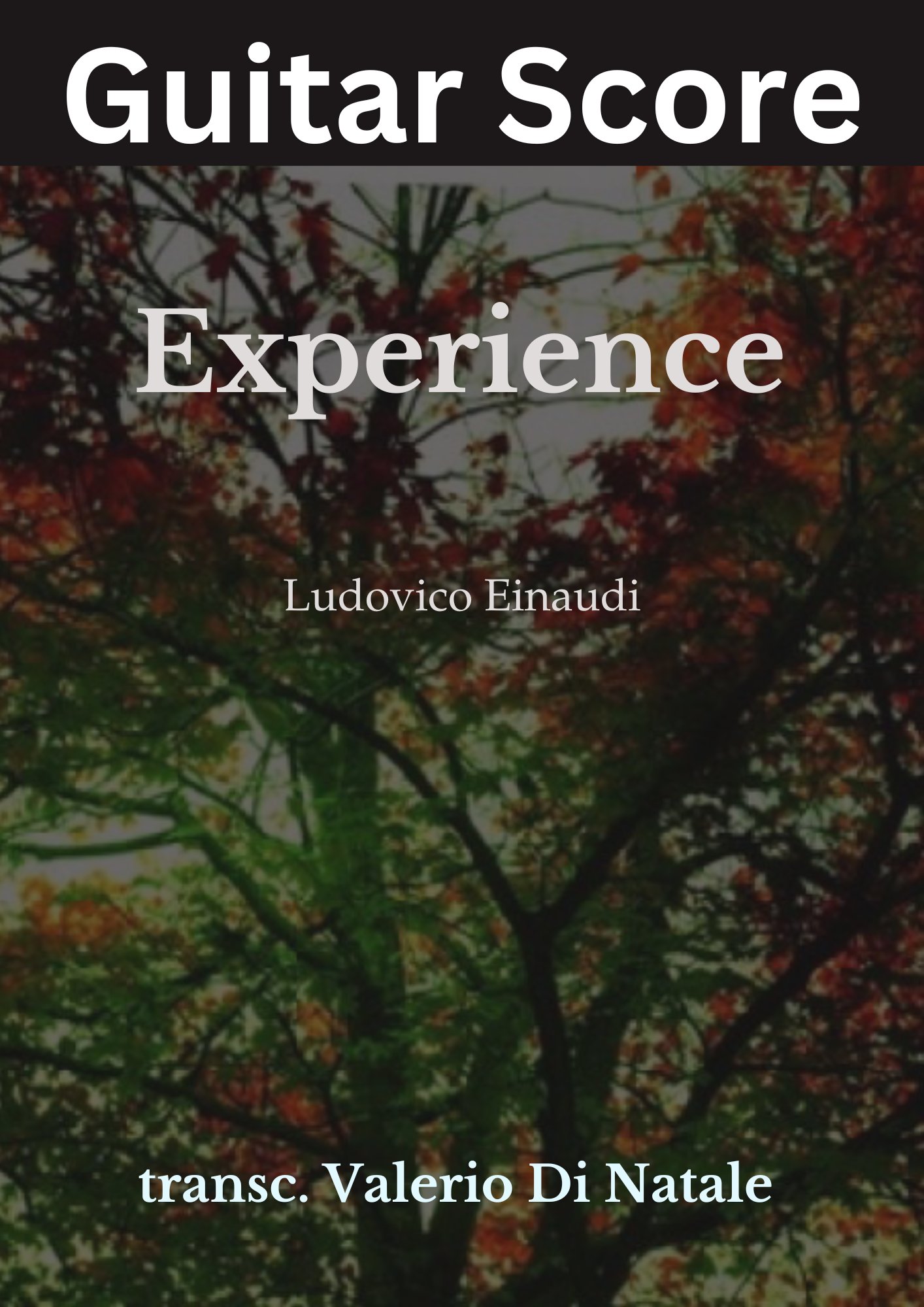 Experience by Ludovico Einaudi product image (1)