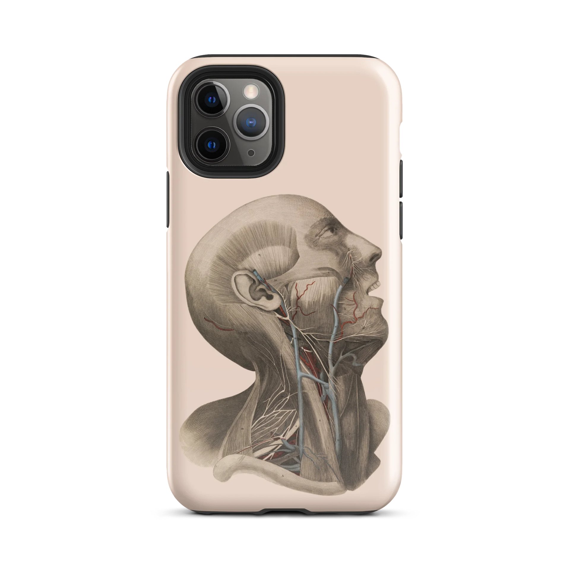 Anatomy Unleashed iPhone® Tough Case product image (57)
