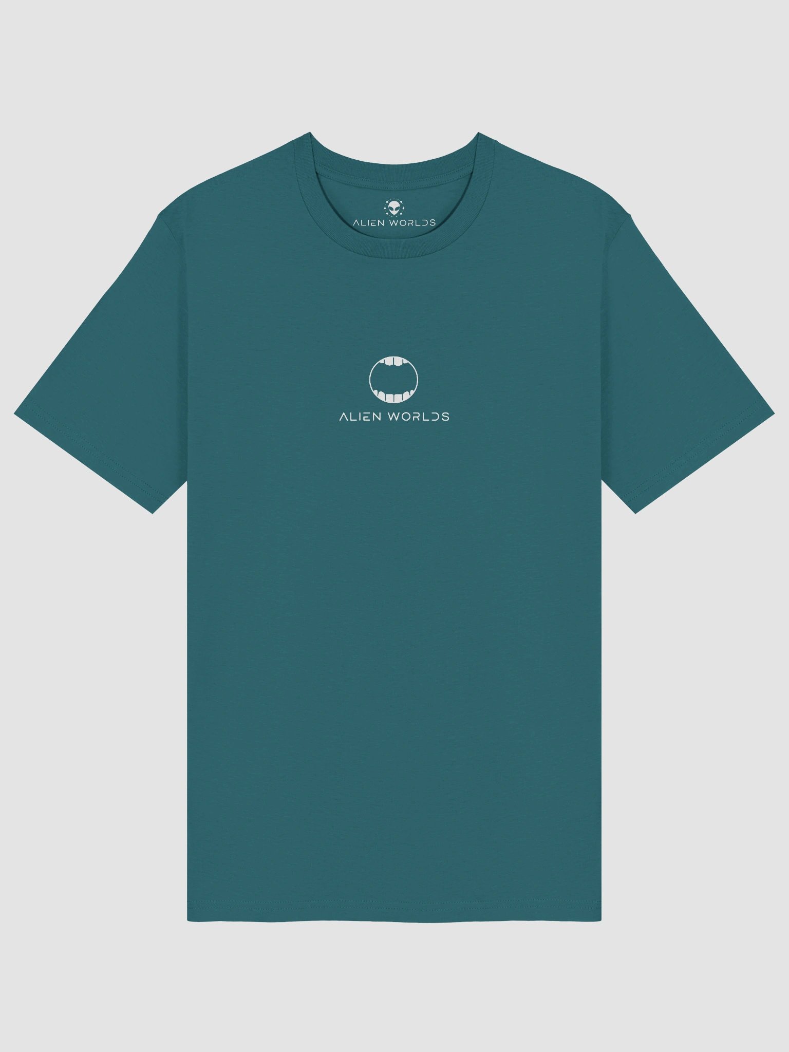 SHAME IS A TEE product image (1)
