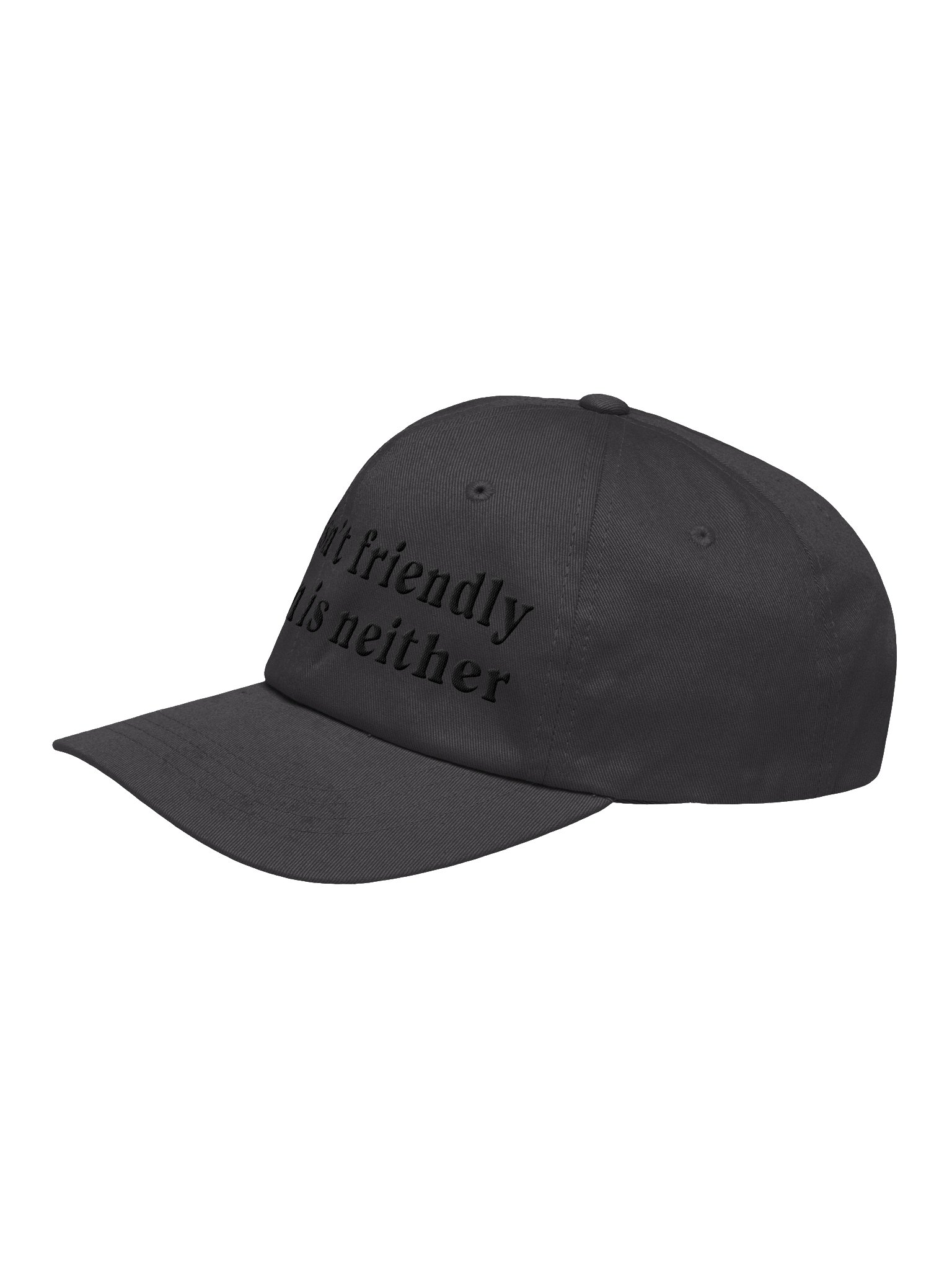 Dog Isn't Friendly. Human Is Neither (Embroidered) Low Contrast (Black) Classic Dad Hat product image (4)