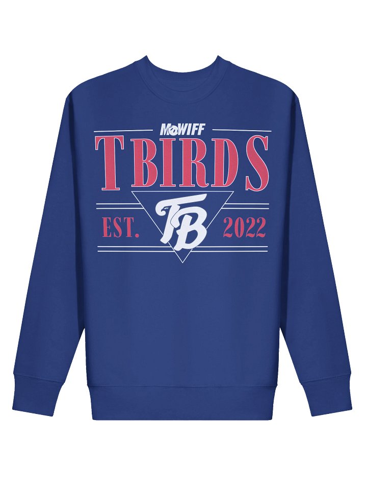 T-Birds Graphic Crewneck Sweatshirt product image (11)