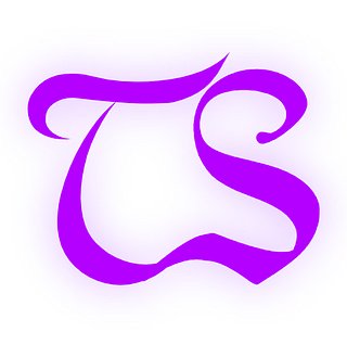 TSNovelLoom