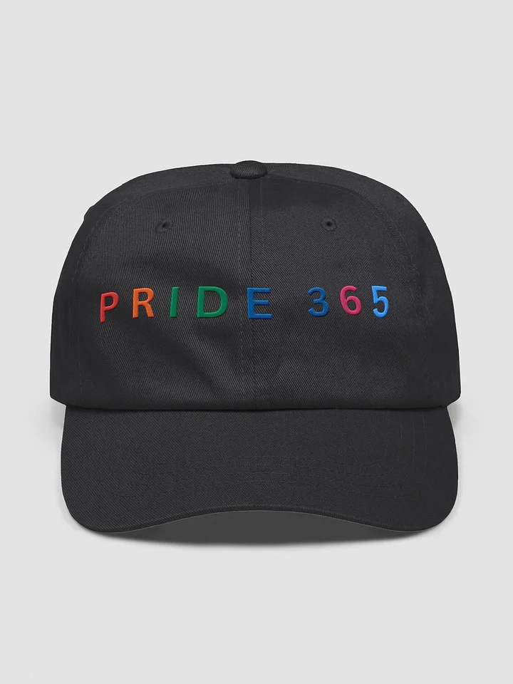 Pride 365 Cap product image (1)