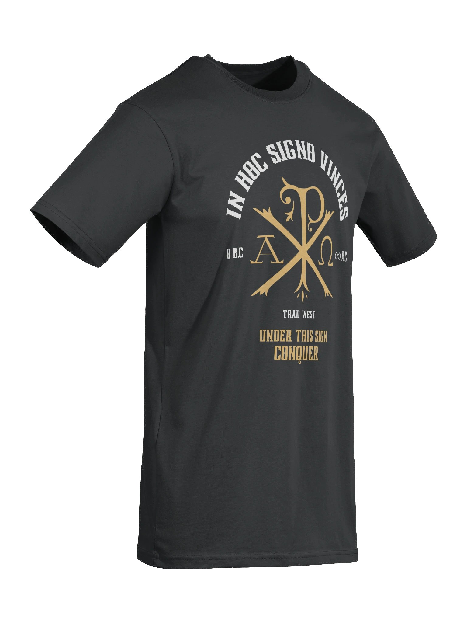 Under this sign conquer Heavy Tee product image (8)