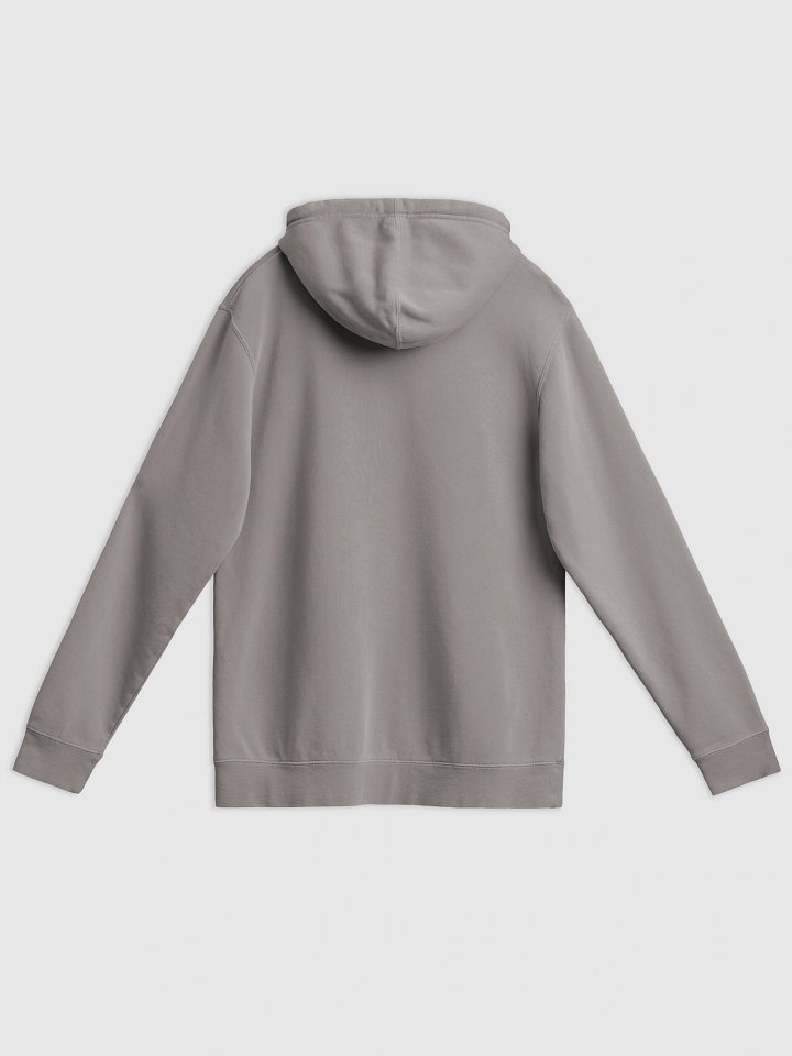 UFO Ultraconservative Family Oriented Hoodie product image (2)