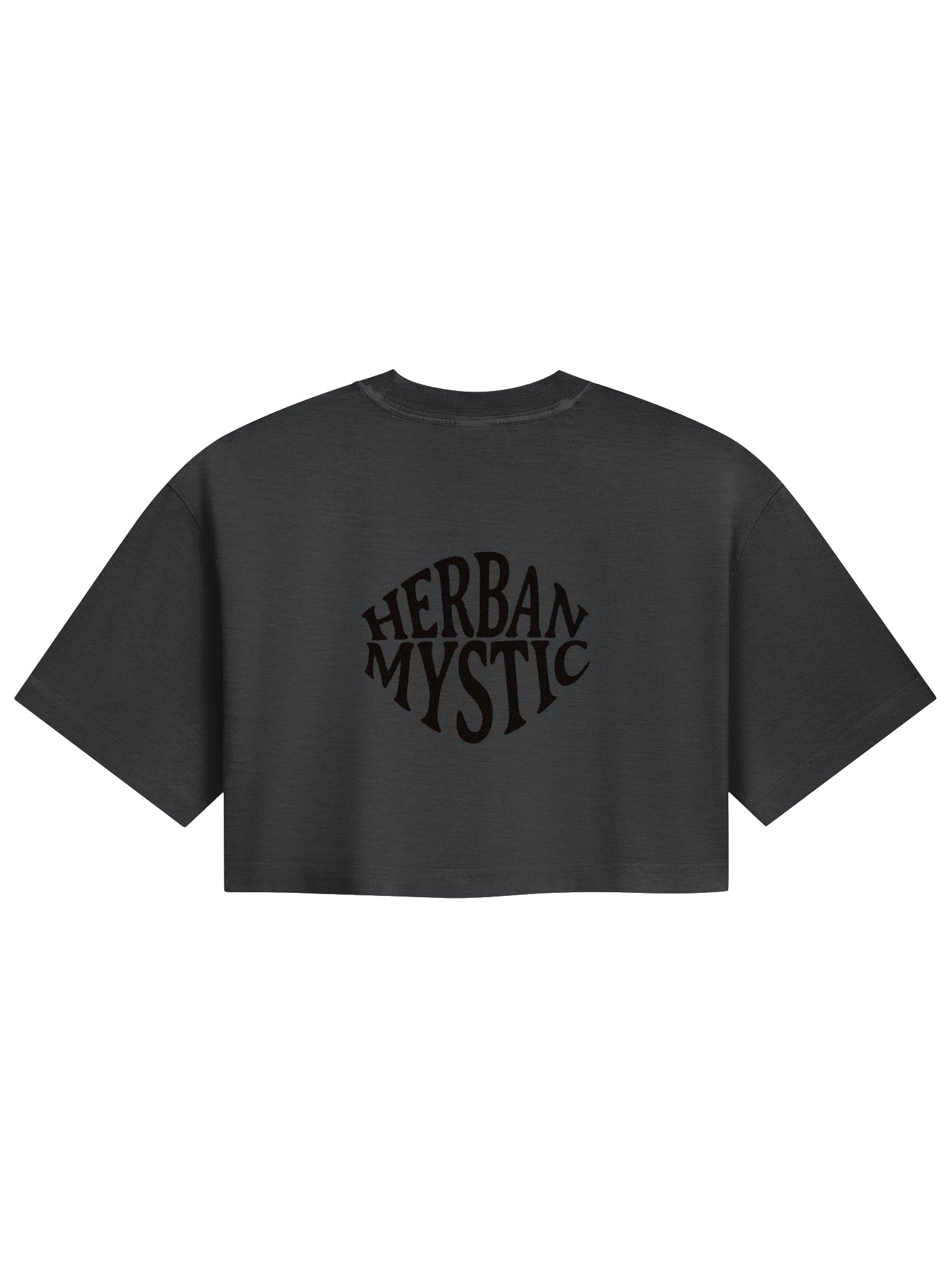 Dreamweaver Cropped Tee product image (4)