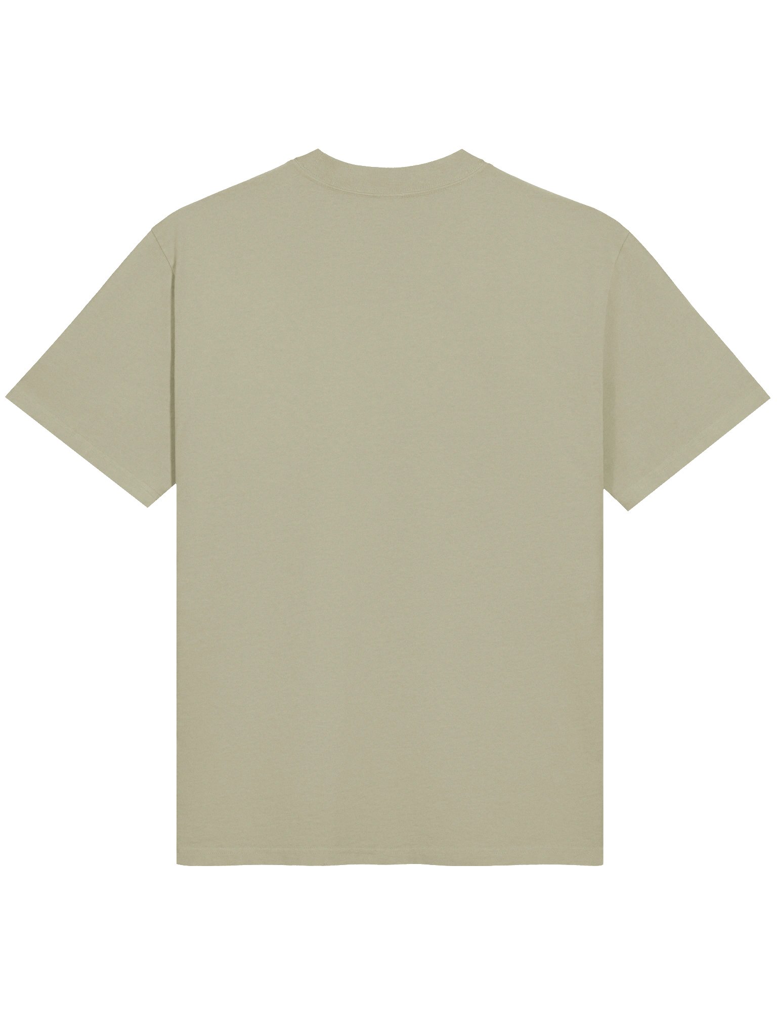 LTA Oversized Tee - Sage product image (2)