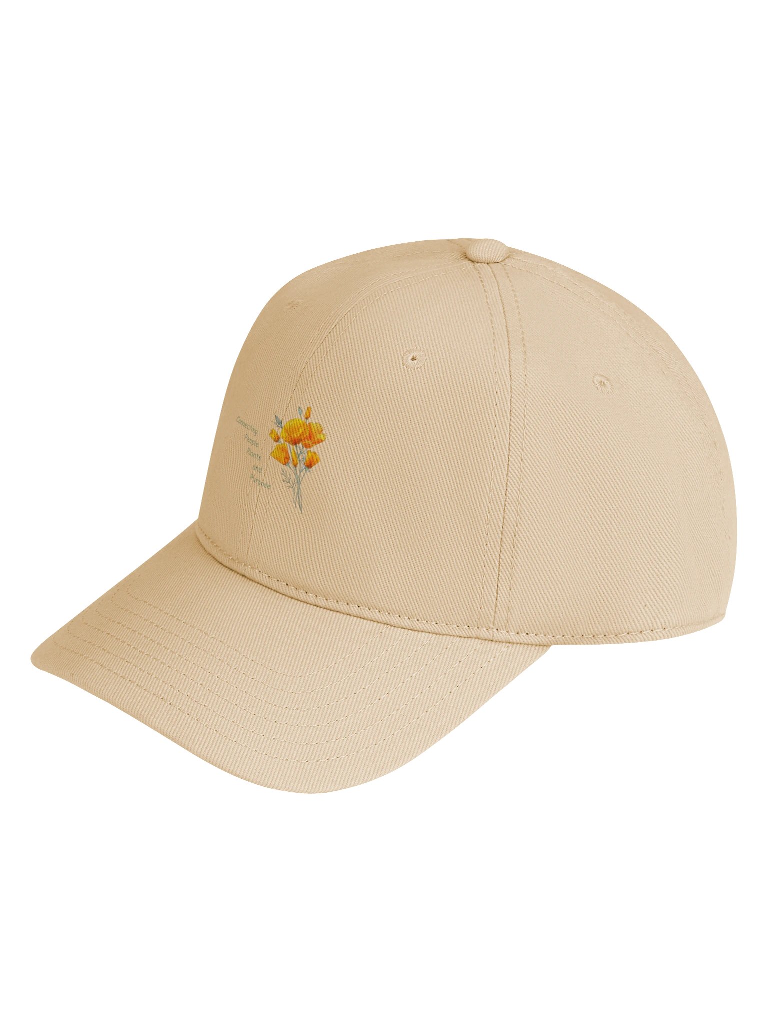 CHTN Otto Cap Low Profile Baseball Cap product image (27)