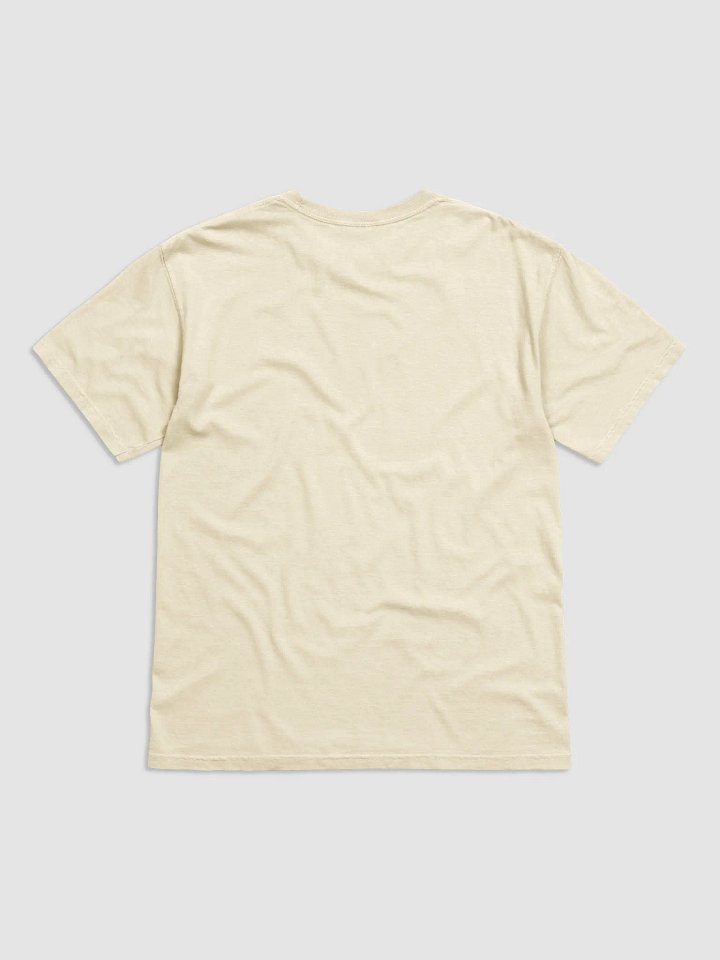 Jesus Is The Answer | Comfort Tee product image (34)