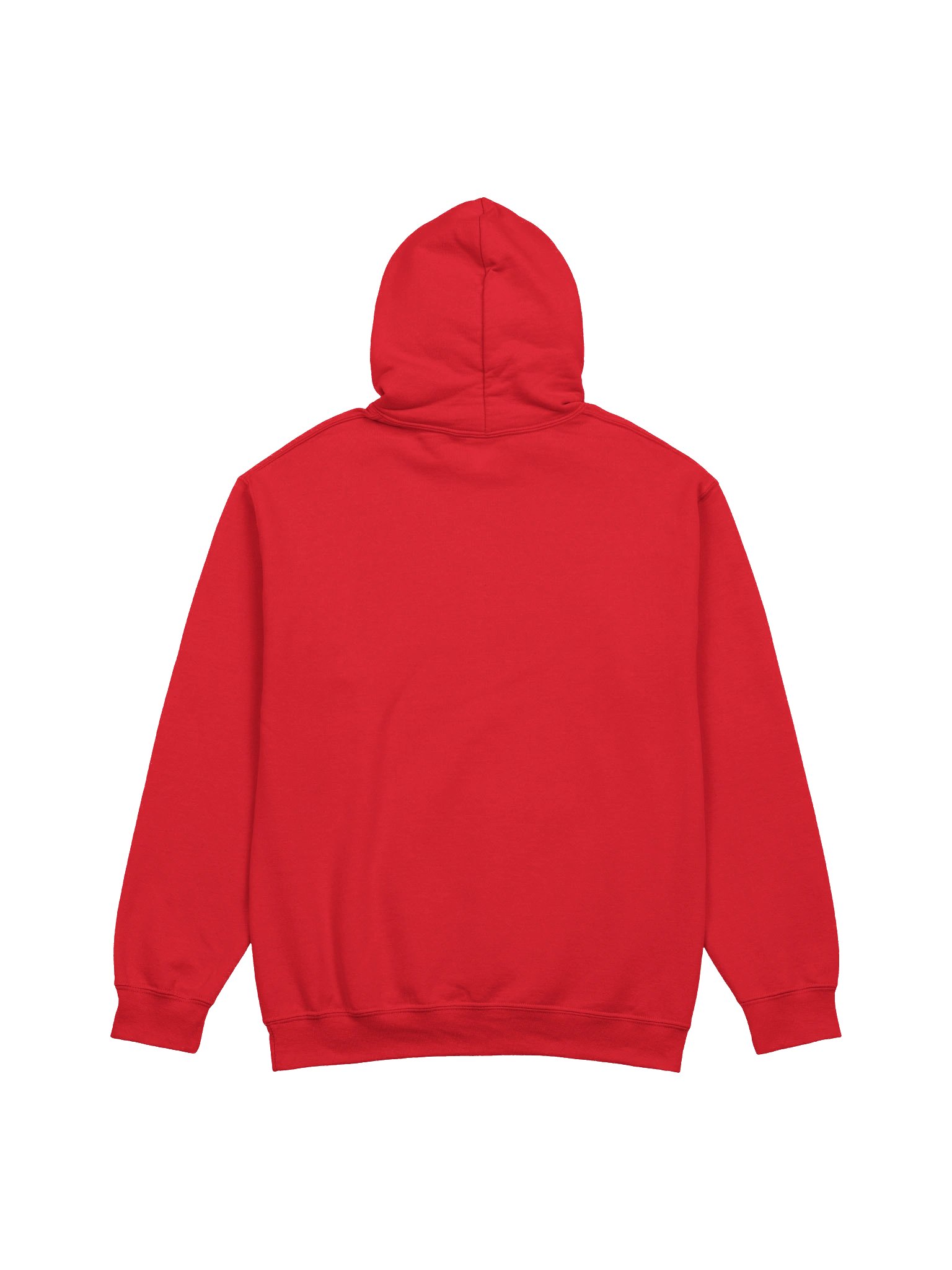 THE SOUTH GOT SOMETHIN' TO SAY — HOODIE product image (26)