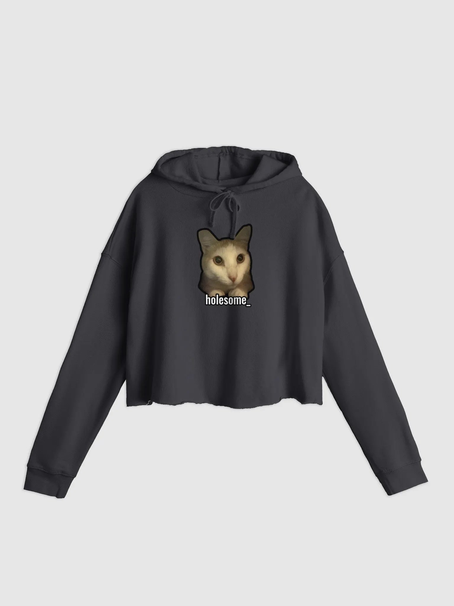 holesome Nico lightweight crop top hoodie product image (2)