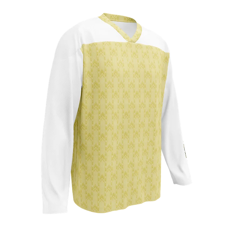 ATRD - In The Back Rooms Hockey Jersey product image (1)