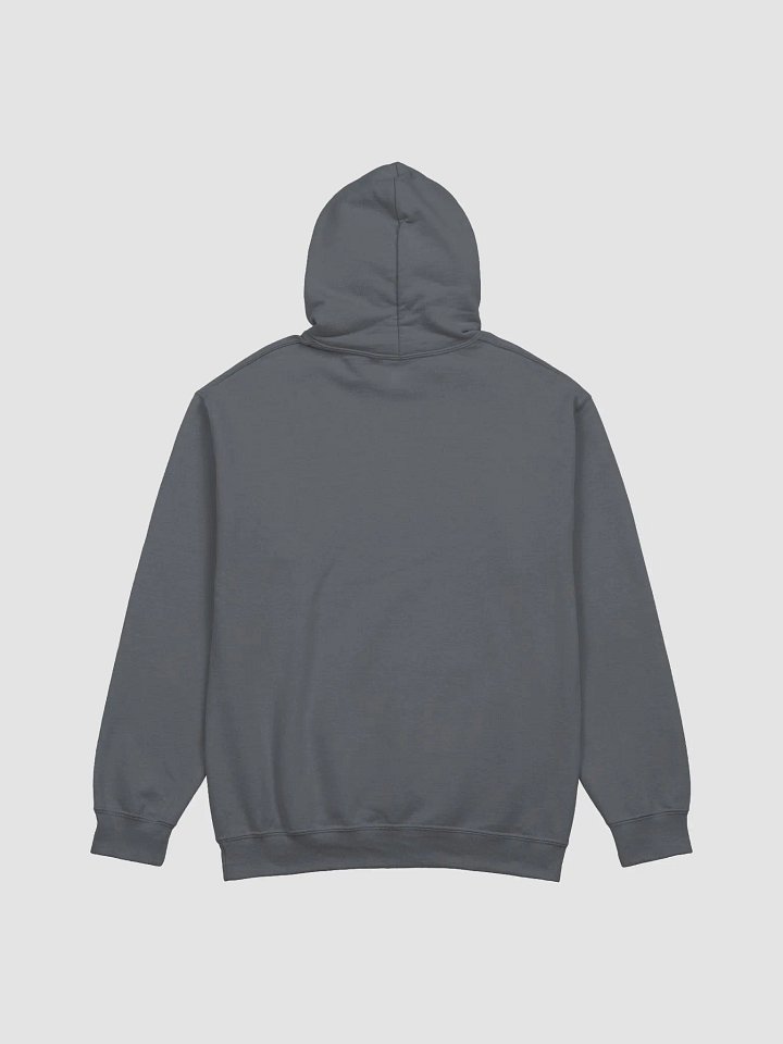 CRAZZIEGIRL LEP HOODIE product image (18)