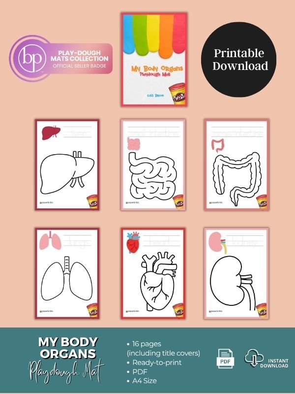 My Body Organs Playdough Mat product image (2)