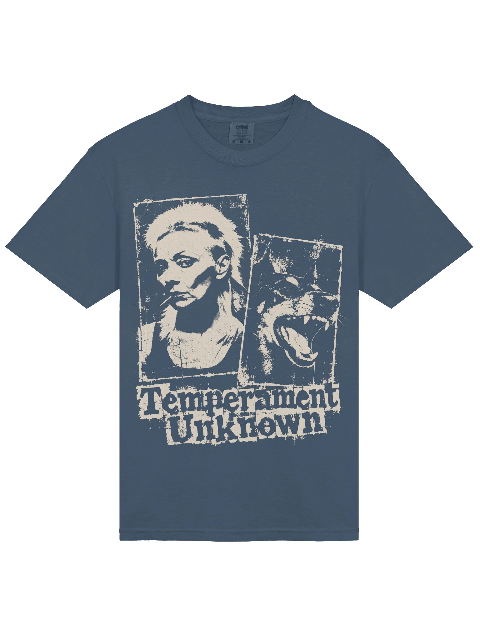 Temperament Unknown Heavyweight Vintage Graphic Tee product image (11)