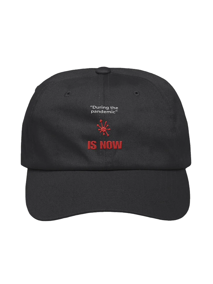 During The Pandemic Is Now cap product image (3)