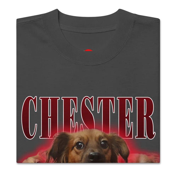 Chester Hip Hop Premium Oversized Faded T-Shirt product image (2)