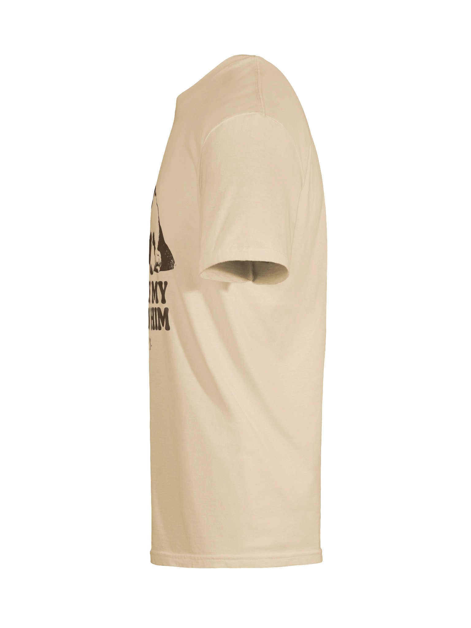 Spent My Salary Cat T-Shirt product image (41)