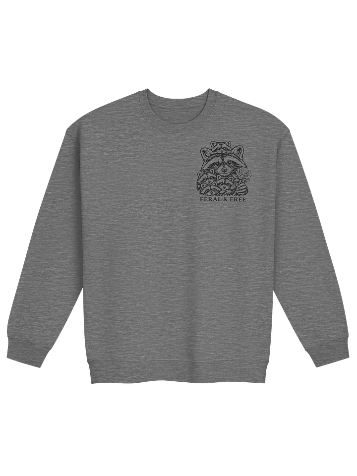 Raccoon Rehab Pullover product image (1)