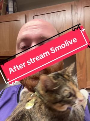 Smolive is a Velcro baby. I love and hate her. Mainly love.  #smolivethecat #lgbt #twitchstreamer #catsoftiktok #petsoftiktok 