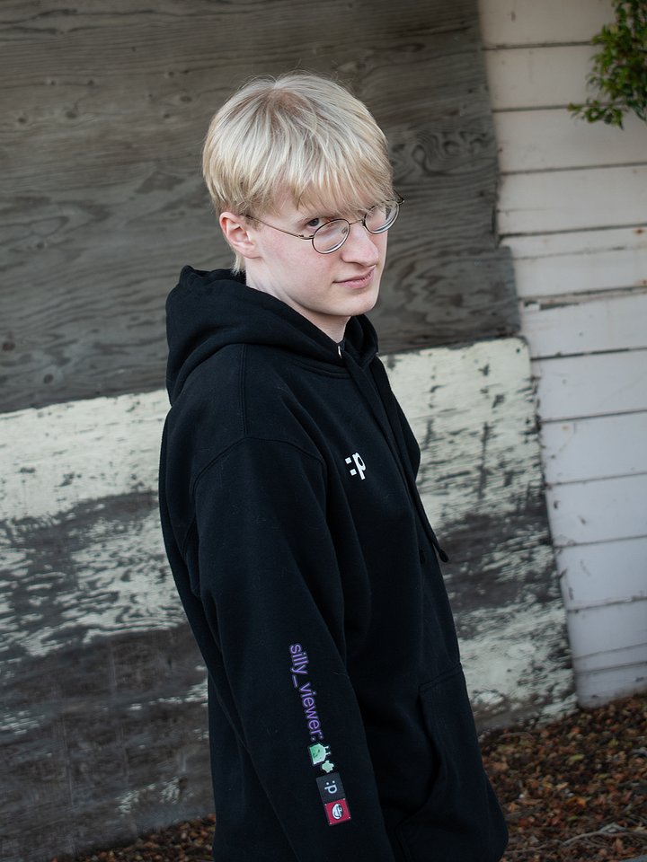 The Silly Hoodie product image (1)