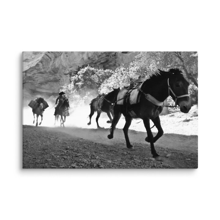 The Last Postman product image (1)