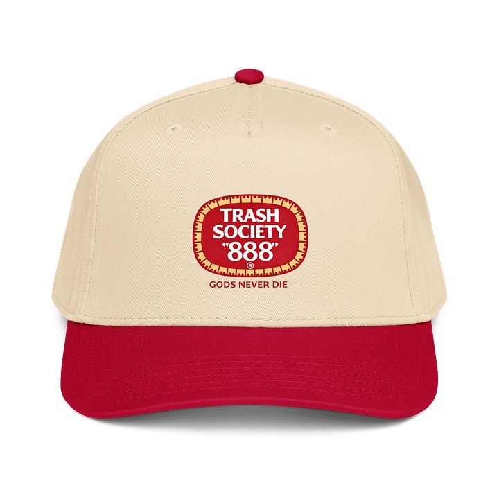 TRASH SOCIETY 888 HAT product image (1)